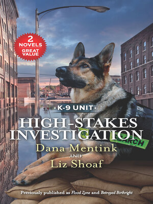 cover image of High-Stakes Investigation
